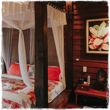 Room5