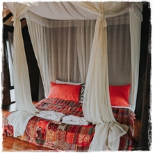 Room5