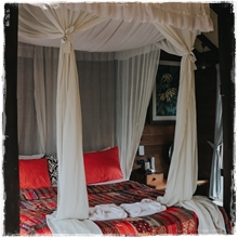 Room5