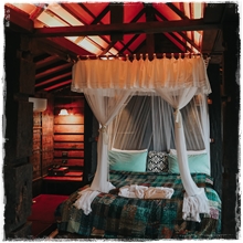 Room5