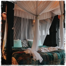 Room2
